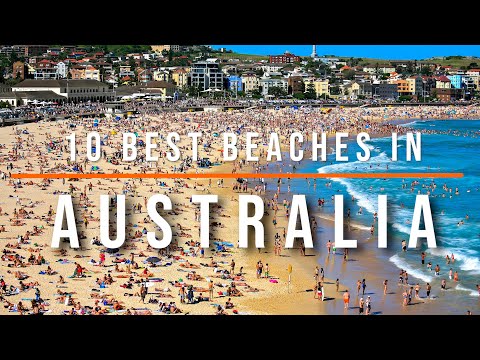 Video: 11 højest vurderede strande i Australien