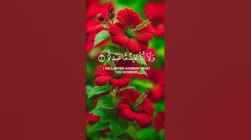 سورة الكافرون #الرحمن #اكسبلور #يارب #لايك