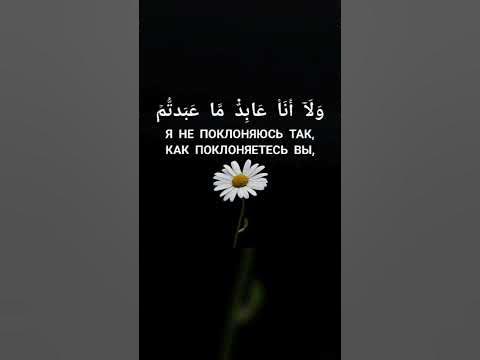 Сура «Аль-Кяфирун» ( НЕВЕРУЮЩИЕ) #ислам #напоминаниеверующим # ...