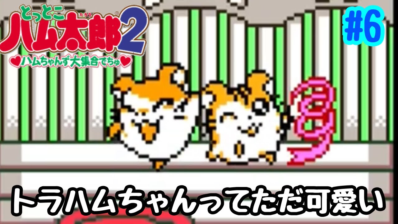トラハム ちゃん かわいい