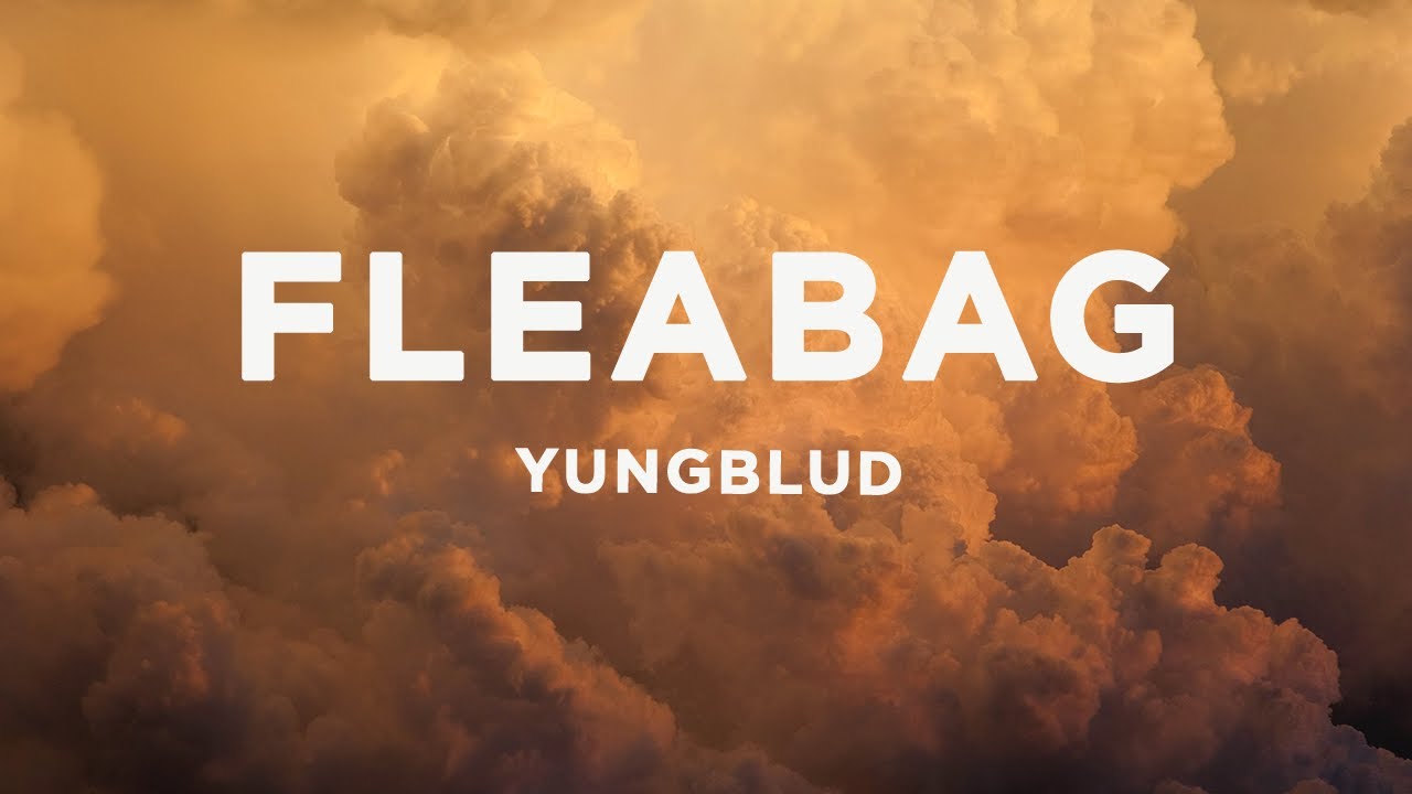 YUNGBLUD   fleabag Lyrics