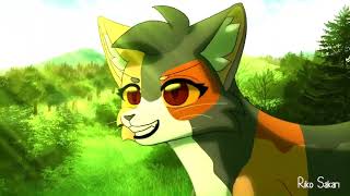 Windclan Edit