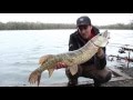 ***Fox Rage Predator TV*** Gravel Pit Deadbaiting