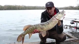 Fox Rage Predator Fishing TV