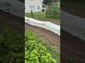 One of my favorite uses of insect netting is making a sun cap . It allows more heat to escape