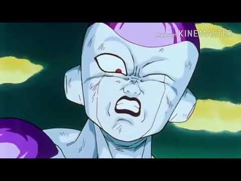 (誕生日記念mad)ドラゴンボールヒバナ