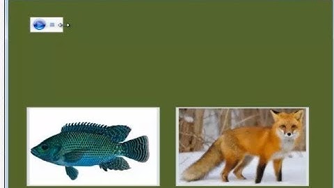 Visual Basic .net: How to add sounds and images  in VB.NET
