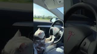 Securing Ws At Valkence Esports