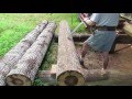 Removing Poplar Bark 6-16-16