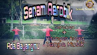 Senam Aerobik ( Ada Bayangmu ) Gerakan Dengan Hitungan Tanpa Musik