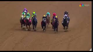 Pat Day Mile 2026 g2  750000  Crude Velocity Rolls Home For Baffert  Churchill Downs