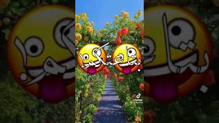 حاله واتس مهرجانات جديده 2021 يا بنات ليه شادين حيلكو🤩💯