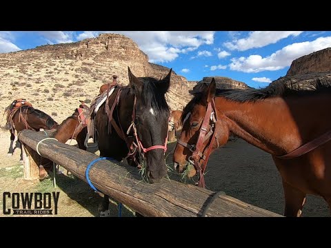 Cowboy Trail Rides - Las Vegas, Nevada - YouTube