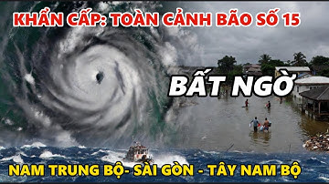 🔴 Live : Bão Số 15 Tăng Tốc – Miền Trung Ngập Lụt Nặng, Sài Gòn & Miền Tây Cũng Chìm Trong Nước!