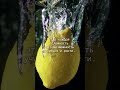 МЕЧТАЮ, НО НИЧЕГО НЕ ДЕЛАЮ. КАК МОЗГ НАС ОБМАНЫВАЕТ Как перестать мечтать и начать делать?