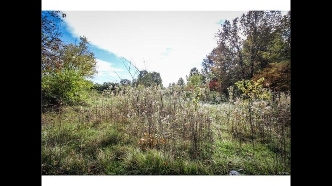 Homes for sale 11358 New Douglas Road, New Douglas, IL 62074 YouTube