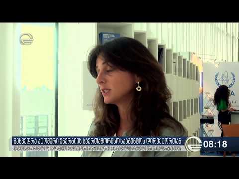 მაია ბითაძე აესს-ს გენერალურ დირექტორს იუკია ამანოს შეხვდა