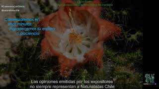 Lucía Abello - Aproximaciones a la flora nativa de montaña