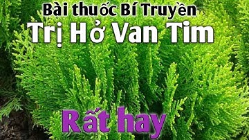 Bài thuốc Dân Gian trị Hở Van Tim rất hay. PHAN HẢI channel