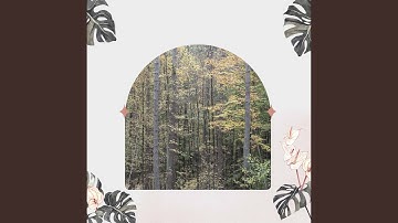 Superlative Moods for Chill Lands