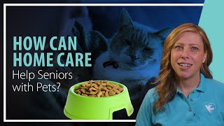 How can Home Care Help Seniors with Pets?