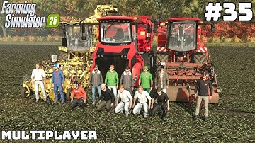 INSANE SUGARBEET HARVESTING - EARNING 1.150.000+ € | Klein Friesland | FS 25 Multiplayer | Ep 35