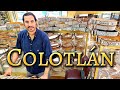 Video de Colotlán