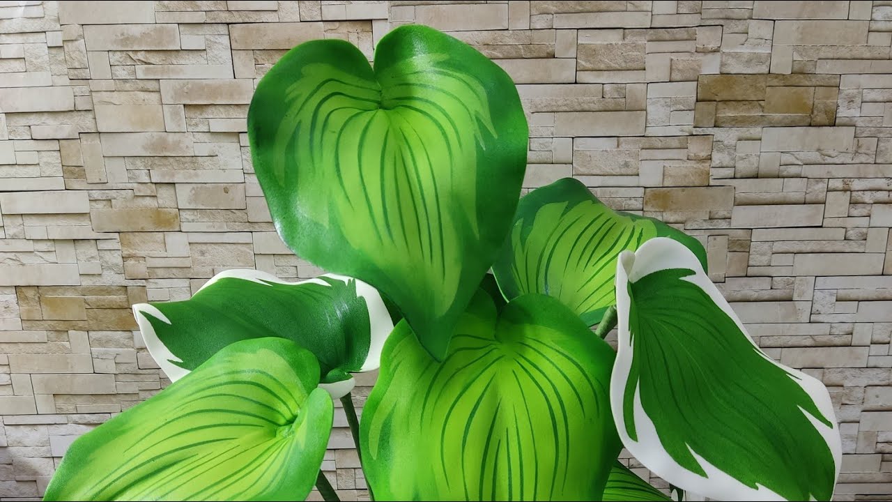 Hosta Don stevens em Eva - Edição Especial