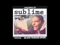Sublime - Cisco Kid - Robbin' the Hood