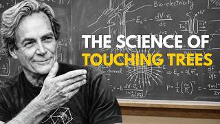 Why You Should TOUCH a Tree Every Day — The Science Nobody Talks About