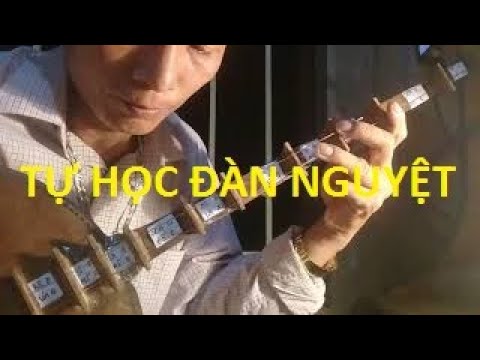 Tự Học đàn Nguyệt(Điệu dọc nam cho người mới học)Phần 2 - youtube