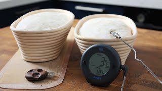 Stop Over Proofing Your Sourdough, Use This Experiment to Find Your Optimum Proof