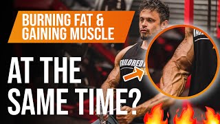 Can You Burn Fat And Gain Muscle Simultaneously? Body Recomposition