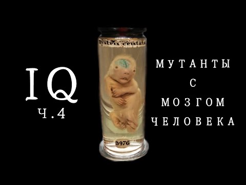 Нейробиология ума и глупости ч.4 [Увеличение мозга животных и интеллект на томографе]
