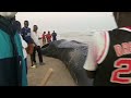Échouage d'une baleine à bec sur la plage des Parcelles Assainies
