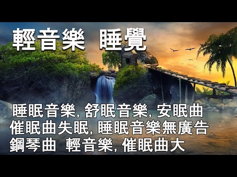 100 無廣告 放鬆音樂 睡眠音樂 一秒入睡 深層睡眠天然森林音樂 睡眠音樂無廣告 放鬆音樂 療癒音樂 音樂治療 鋼琴曲輕音樂