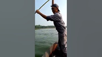 cùng ông anh thả lưới bắt toàn rô phi khủng