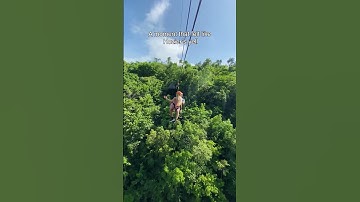 Bucket list honeymoon travel attraction! #zipline