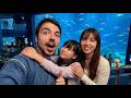 Mi Hija Japonesa por fin me ACEPTA como su PADRE 🥺 (Osaka Vlog 2)