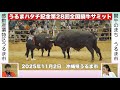 うるまハタチ記念 第28回全国闘牛サミットを振り返る|あの対戦カードは、なぜ実現したのか