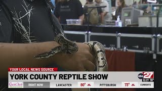 Reptile expo held in York County