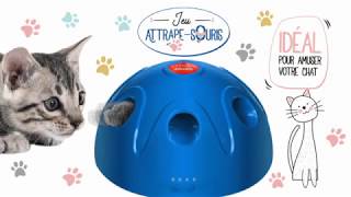 Jeu Attrape Souris Dome Pour Chat Youtube