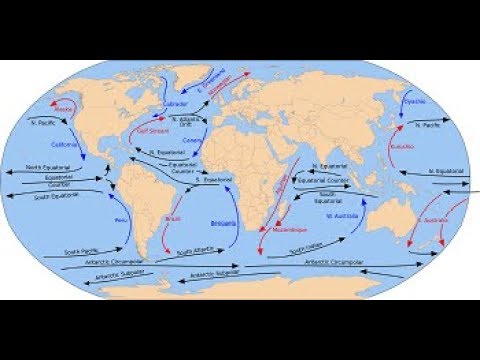 ocean currents map for kids