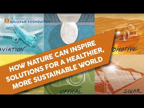 How Nature Can Inspire Solutions for a Healthier, More Sustainable World // Ignite Masterclass