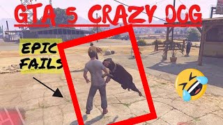 GTA 5 DOG ATTACK  GOT WASTED BY A DOG  GTA 5 FIGHTING WITH DOG OWNER, GTA 5 REAL FUNNY MOMENTS.