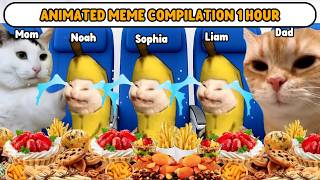 CAT MEMES FAMILY VACATION ROAD TRIP COMPILATION FULL 1 HOUR