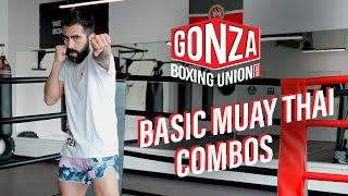 Basic Muay Thai combos