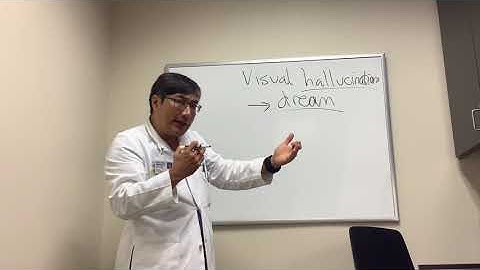 Dreams and Hallucinations