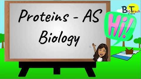 Protein structure A Level Biology/BTEC Applied Science - BioTeach