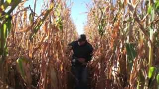 Famous Ag Bites -- Pre-Harvest Evaluation: Part 1 -- October 1, 2013 Wealth